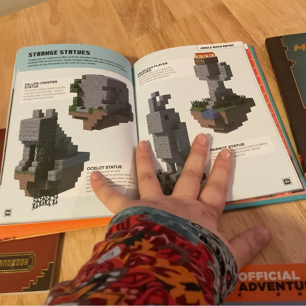 Minecraft Video Game Book Collection Lot of 6